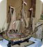 segel schiff modell maritim 78 cm