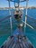 Magnum RON Holland 46.5, Travel Sailboat Refitted BILD 13