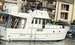 Beneteau Swift Trawler 42 BILD 13