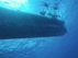 Semi submarino turístico  BILD 4