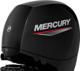 Mercury F 150 XL EFI BILD 1